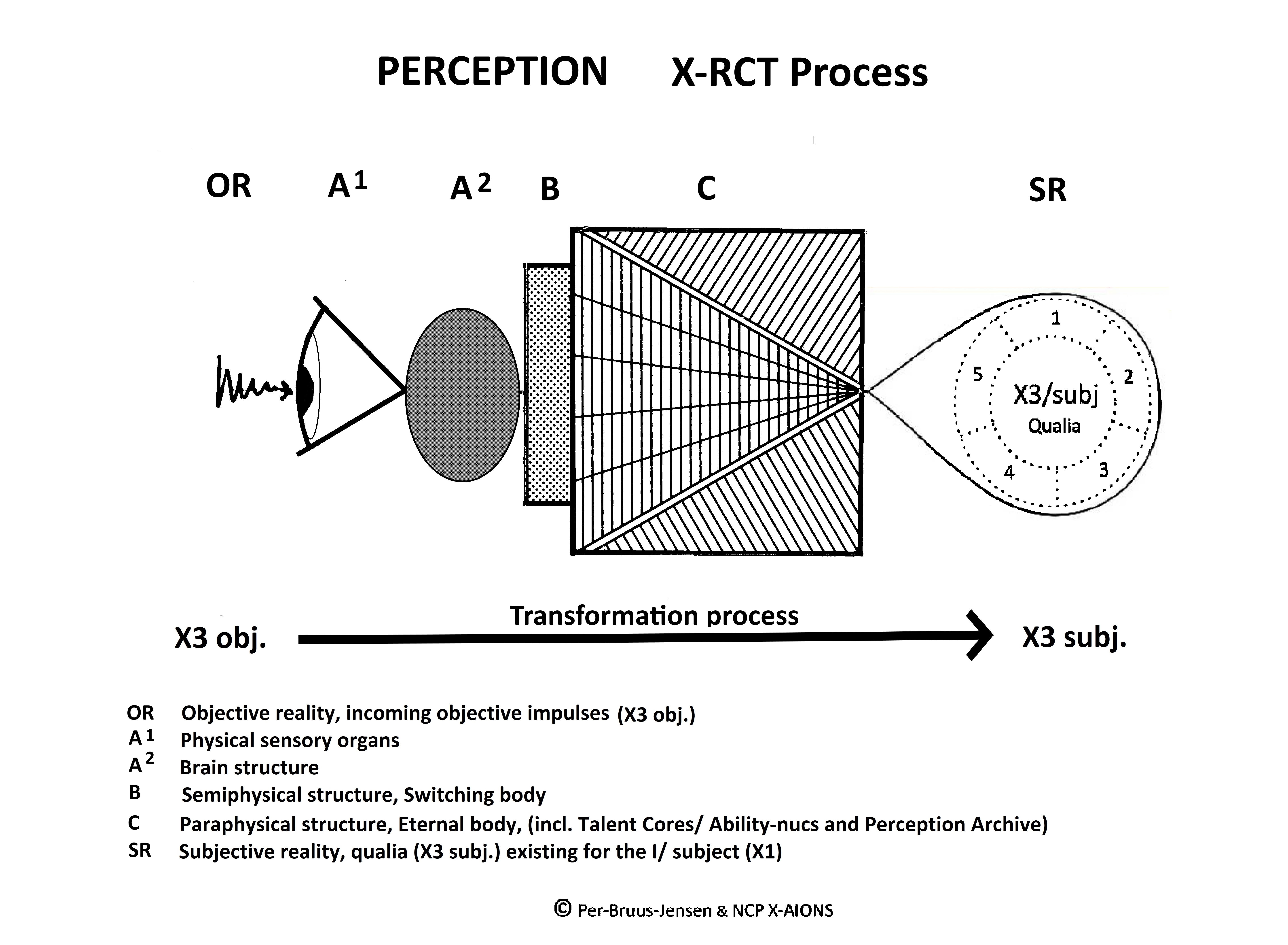 Perception - X-RCT Process, The X-Structure (Xom3-e) NCP X-AIONS