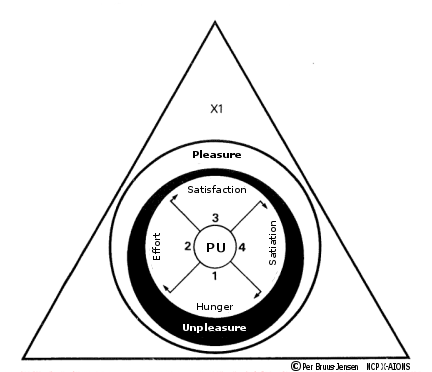 The Cycles of “Hunger and Satiation” – main Stages of the Change and Renewal Process