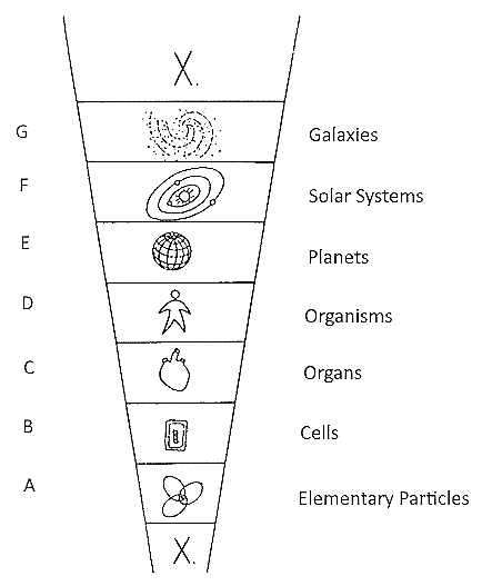 The seven main organism principles, NCP X-AIONS PBJ