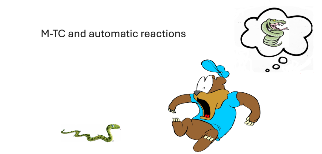 Memory-talent cores and Automatic reactions (Erindringstalentkerner E-TK og automatiske reaktioner) NCP X-AIONS