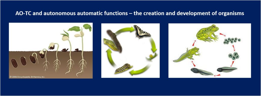 Autonomous organ-talent cores (AO-TC) store information for the creation of organisms and initiate, govern, and regulate all forms of organism development. NCP X-AIONS