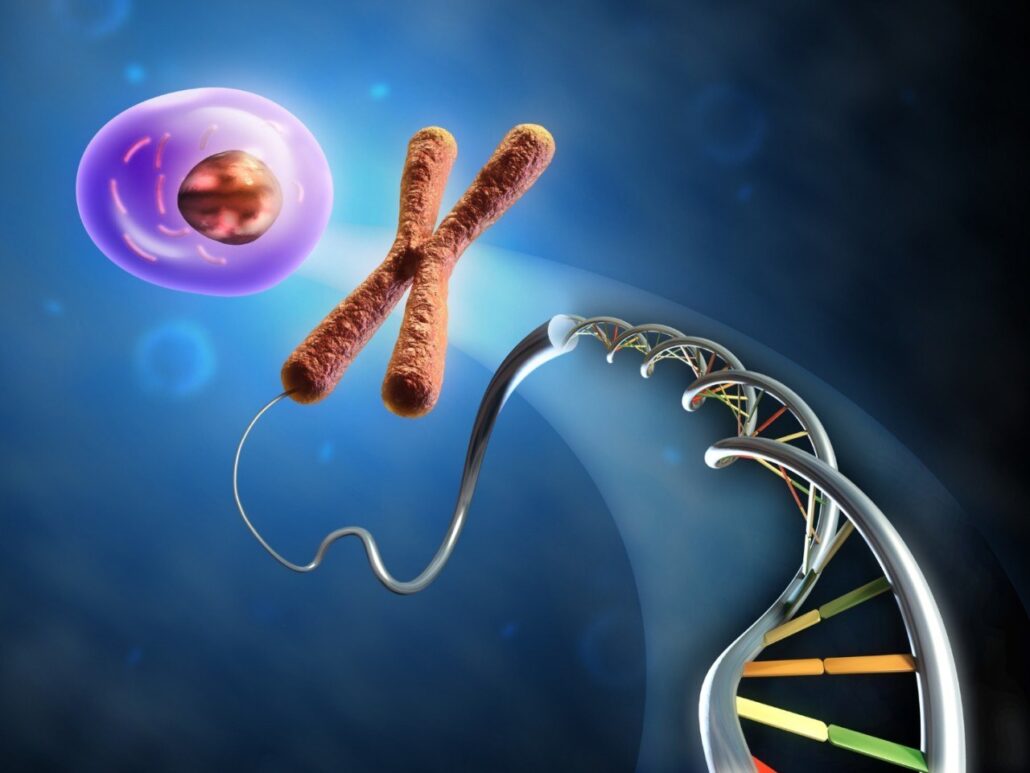 The talent cores are highly relevant in the field of epigenetics as they exert influence on the genes of the DNA spiral. NCP X-AIONS